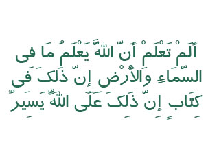 پیدا شدن دزدی و رسوا شدن دزد