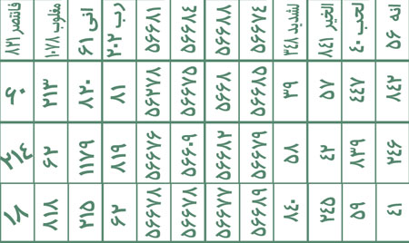 بازوبند حضرت عباس ع محبت،قدرت و شهرت